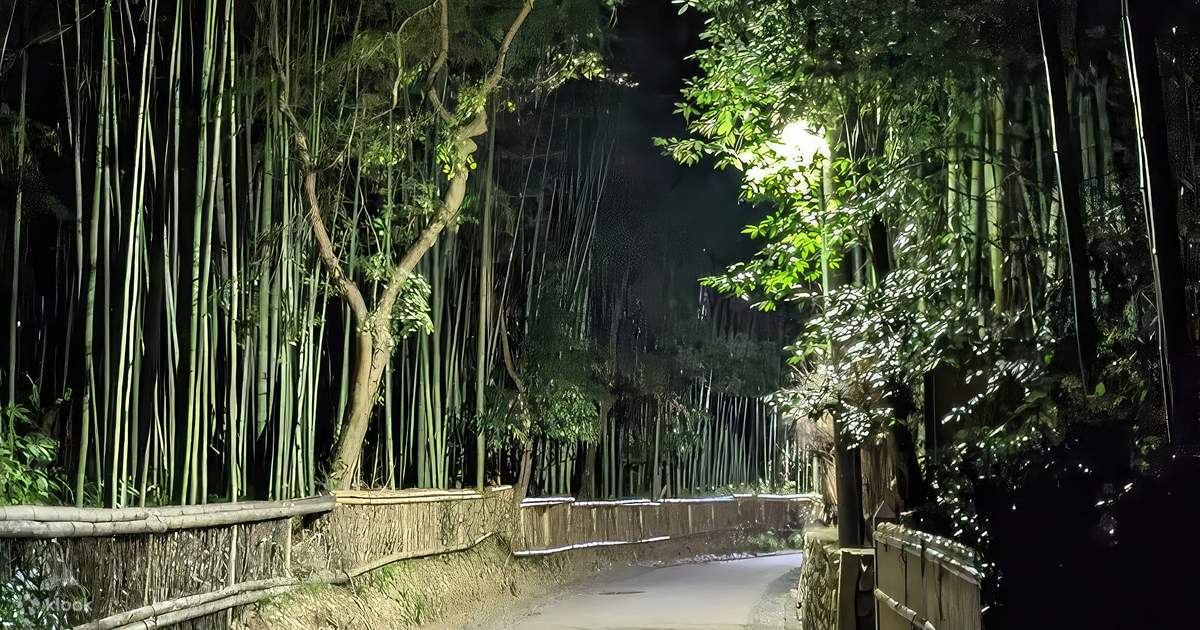 京都市 嵐山 お化け探しナイトツアー | Klook